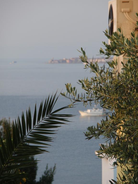 Apartments Salvore Crveni Vrh Room photo